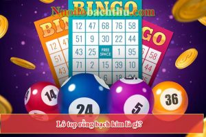 Soi cầu 24h bất bại