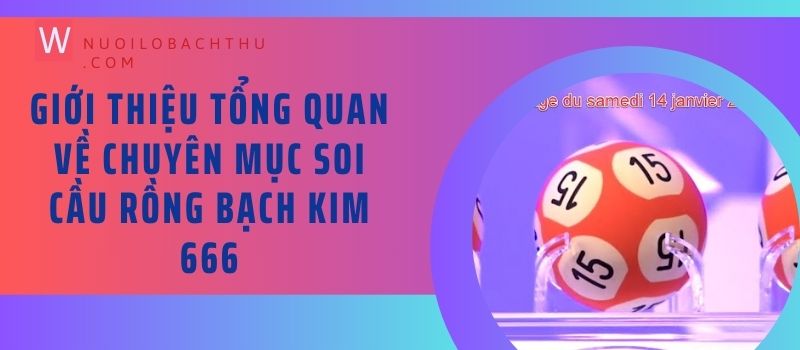 Giới thiệu tổng quan về chuyên mục soi cầu Rồng Bạch Kim 666