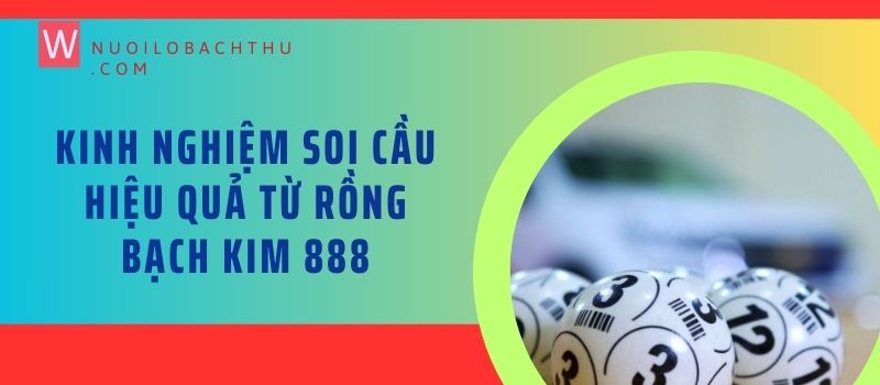 Kinh nghiệm soi cầu hiệu quả từ Rồng bạch kim 8888