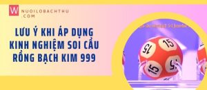 Rồng bạch kim 555 mb