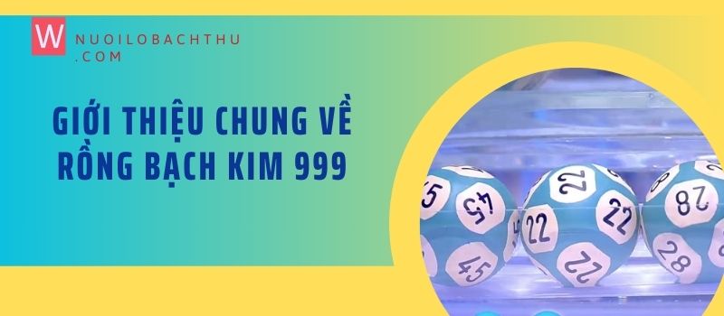 Giới thiệu chung về Rồng Bạch Kim 999