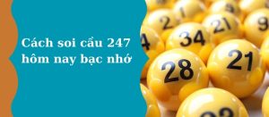 Rồng bạch kim 777 vip