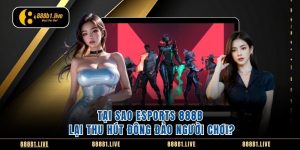 Soi cầu 30 số rồng bạch kim
